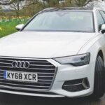 Police arrest man for intentionally driving his luxury car over dog