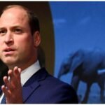 Prince William visits UAE as Britain seeks to deepen ties