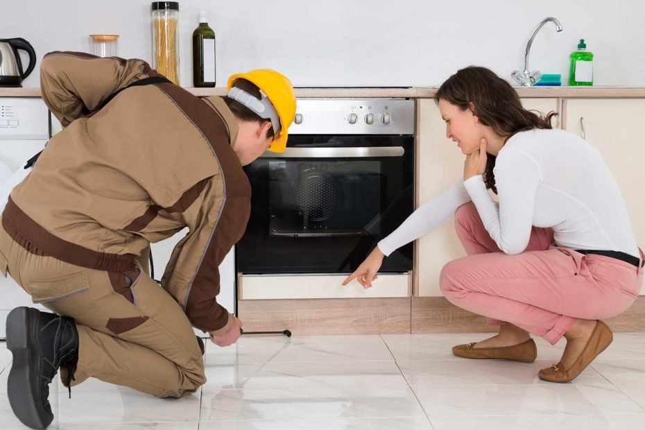How Pest Control Services Work