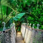 suspension-bridge-