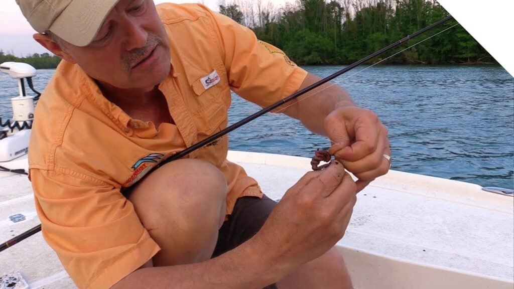 3 Essential Worm Fishing Tips