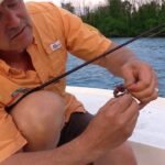 3 Essential Worm Fishing Tips