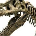 Dinosaur Has 500 Teeth? Facts You Didn’t Know You Need to Know About This Creature From the Deep