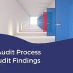 NDIS Audit Process and Audit Findings