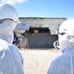 ASBESTOS TESTING & REMOVAL