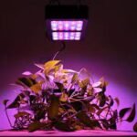 All the information about LED Grow Light with its advantages