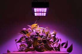 All the information about LED Grow Light with its advantages
