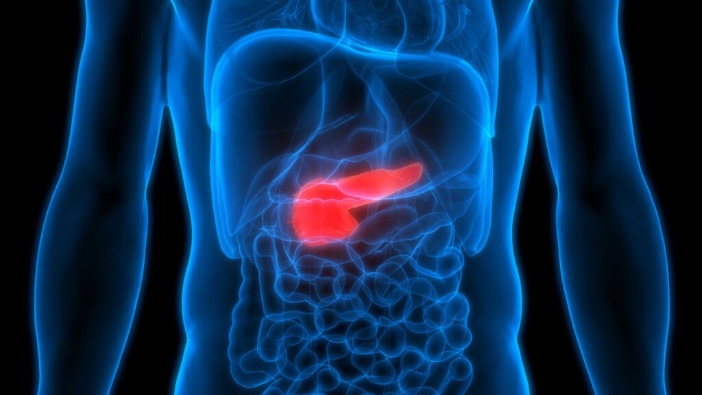 Learn Everything About Chronic Pancreatitis- Its Symptoms, Causes, and Treatment 