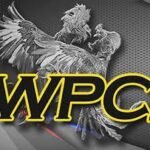 What Is purpose of the WPC15 Dashboard