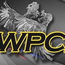 What Is purpose of the WPC15 Dashboard
