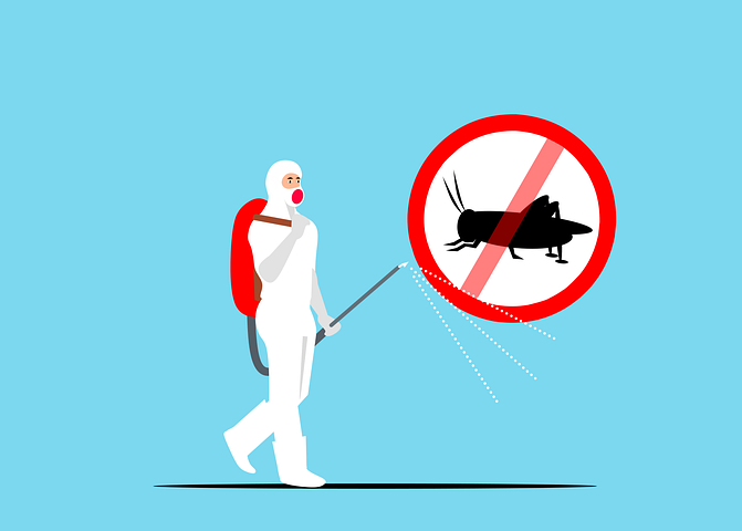 Brief Note on End of Lease Pest Control