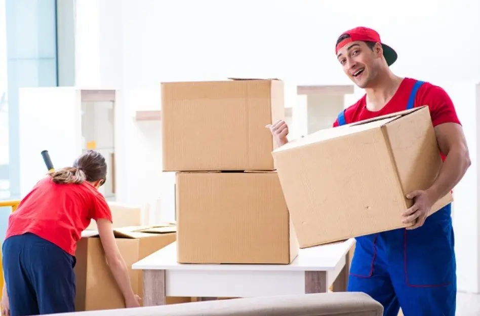Effective Relocation Services by Professional Movers and Packers