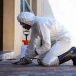Pest Removal? It’s Easy If You Do It Smart
