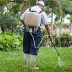 6 Reasons to Choose Local Pest Control Service Provider