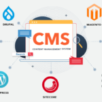 The Website And The CMS Platforms