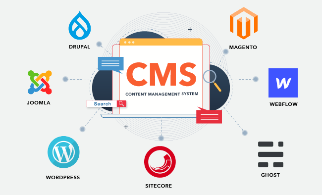 The Website And The CMS Platforms