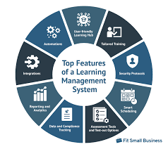 Management System, and why your business