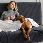 The Therapeutic Benefits of Pets for Mental illness
