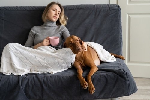 The Therapeutic Benefits of Pets for Mental illness