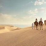 A Cultural Expedition Through Qatar's Vibrant Heart - Exploring the Artistic Wonders and Enchanting Traditions