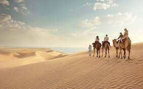 A Cultural Expedition Through Qatar's Vibrant Heart - Exploring the Artistic Wonders and Enchanting Traditions
