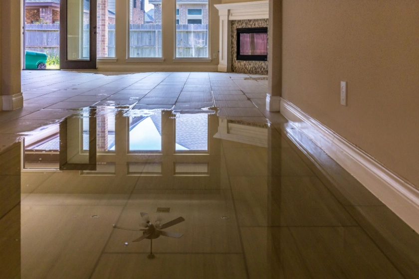 Flood Cleaning