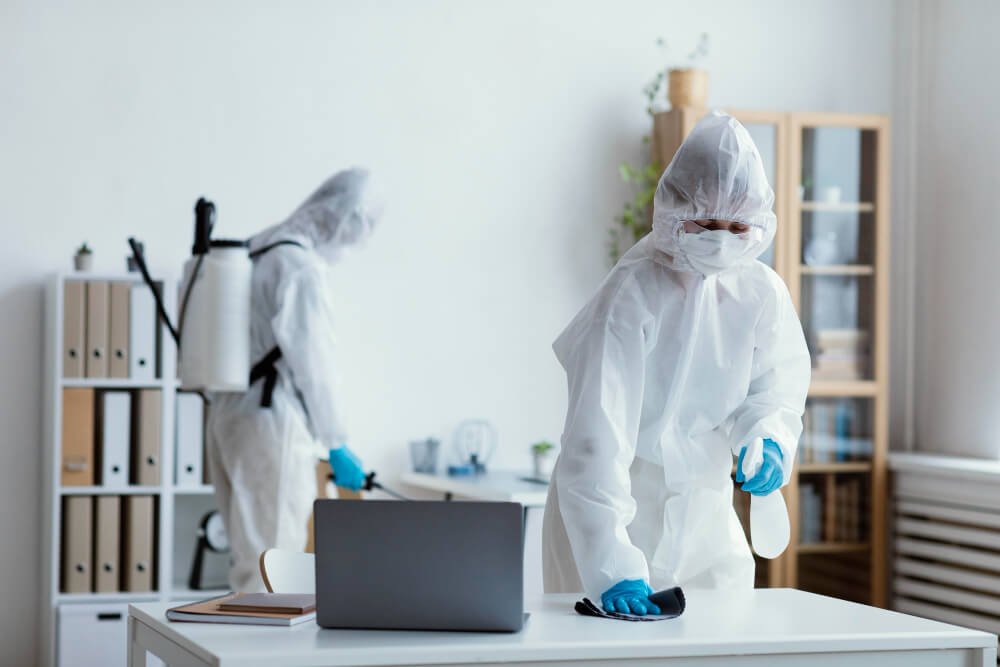 Factors To Take Into Account When Selecting The Best Pest Control Service
